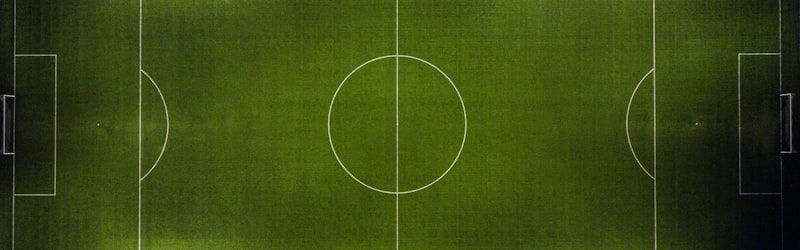 展示足球比赛数据波动趋势的图表